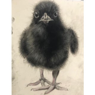 "Baby Raven" Contemporary Realist Animal Portrait Drawing For Sale