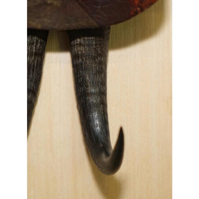 Antique Black Forest Hand-Carved and Painted Whip Hook, 1880 For Sale - Image 11 of 15