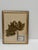 Set of Three Vintage Pressed Botanicals For Sale - Image 10 of 18