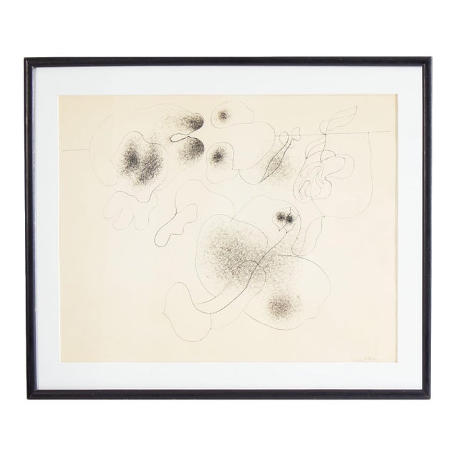 “Fraudulent Garden” Abstract Ink Drawing by William Itter For Sale