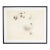 “Fraudulent Garden” Abstract Ink Drawing by William Itter For Sale