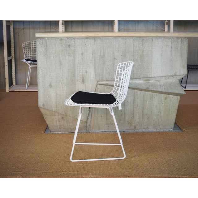 Bertoia Side Chairs with Cushion by Harry Bertoia for Knoll International, Set of 4 For Sale - Image 5 of 16