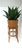 Wicker Bamboo Plant Stand Holder Cachepot For Sale In New York - Image 6 of 12