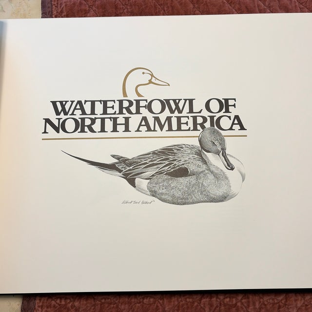 Waterfowl of North America Book For Sale - Image 11 of 12