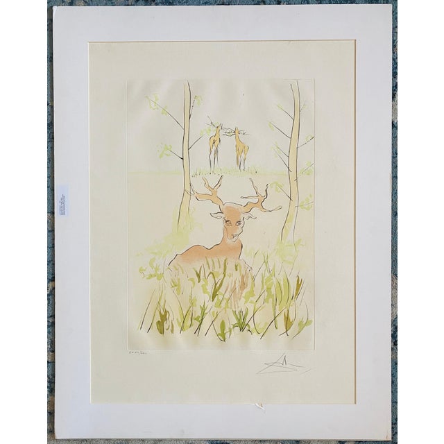 Salvador Dalí­, Salvador Dali, Le Cerf Malade Signed Etching Engraving, Color Lithograph Pochoir For Sale - Image 9 of 9