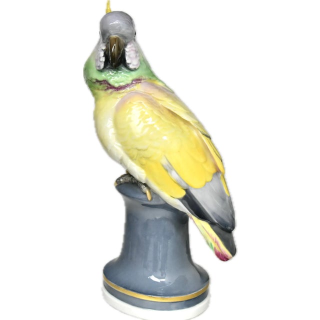 Early 20th Century Porcelain Life-Size Parrot Figures on Pedestals, by Karl Ens, a Pair For Sale - Image 4 of 12