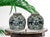 19th Century Qing Chinese Blue and White Antique Storage/Ginger Jars With Foo Lions - A Pair For Sale - Image 12 of 14