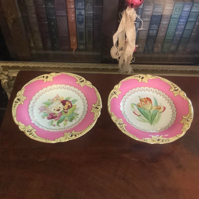 Antique Brown Westhead & Moore English Dessert Service Hand Painted Botanical Compotes - a Pair For Sale - Image 12 of 12