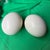 Large Pair of Authentic Ostrich Eggs For Sale In Atlanta - Image 6 of 9