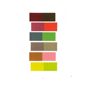 2009 Josef Albers the Interaction of Color Plate Xxi-1