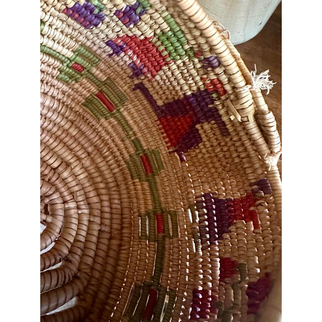 Hand-Woven Native American Horsehair Lidded Basket For Sale In Denver - Image 6 of 10