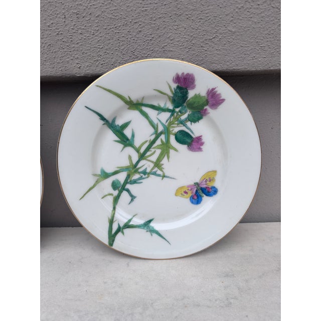 French Country French Set of 4 Porcelain Plates Butterfly & Flowers Circa 1890 For Sale - Image 3 of 6