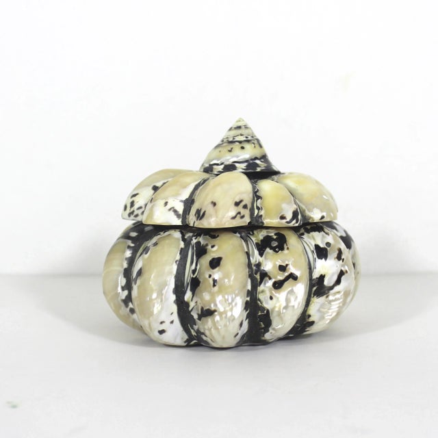 Vintage shell boxes are so hot in home decor right now. This shell box is stunning and so unique. It has a wood box...
