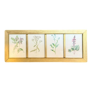 Vintage Botanical Prints From 'Familiar Wildflowers by Hulme, (A Framed Set of Four ), Stippled Technique ,C. 1890–1905 For Sale