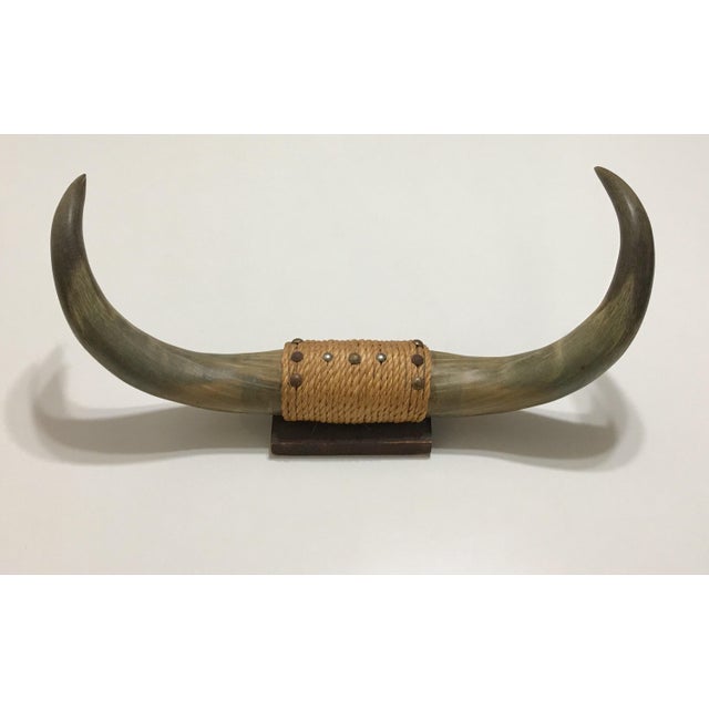1950's Mounted Bull Horns Chairish