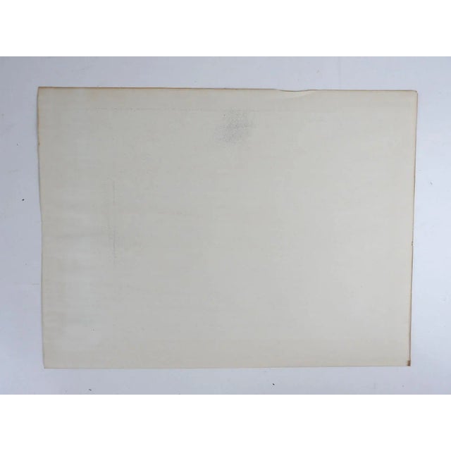 1950s Vintage 1955 Hartwell Wyse Priest Cat Lithograph For Sale - Image 5 of 6