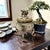 Early 20th Century Vintage Bronze Incense Burner For Sale - Image 5 of 13