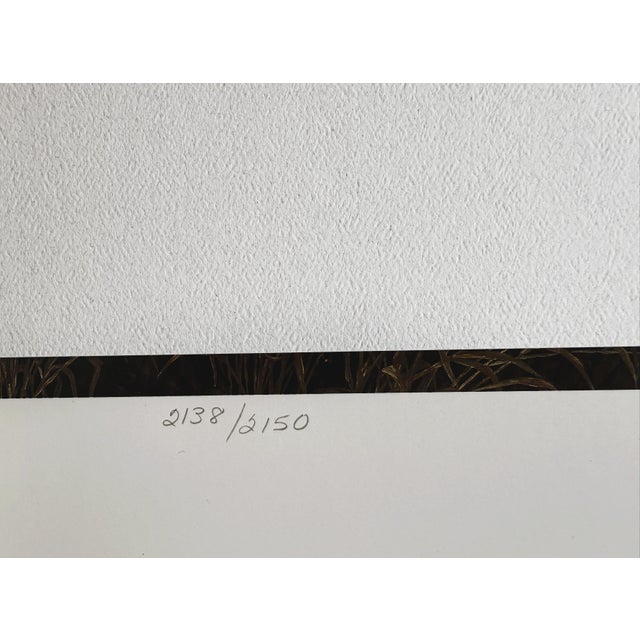 Brown 1990s Larry Zach "Old Rivals III ~ Whitetail" Signed, Numbered, Le Wildlife Print For Sale - Image 8 of 9