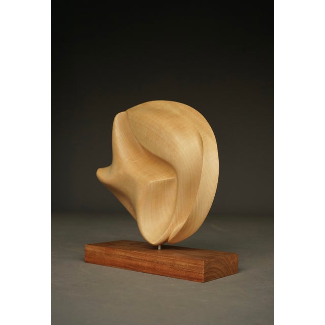Carved Applewood Abstract Sculpture, 1980s For Sale - Image 6 of 12