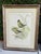 Mid 19th Century Pair of Antique John Gould & h.c. Richter Hand-Colored Bird Lithographs 19th C, Framed For Sale - Image 5 of 12