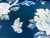 1.5 Yard Brunschwig & Fils Les Pivoines Navy Blue White Floral Cotton Drapery Fabric For Sale In Columbia, SC - Image 6 of 7