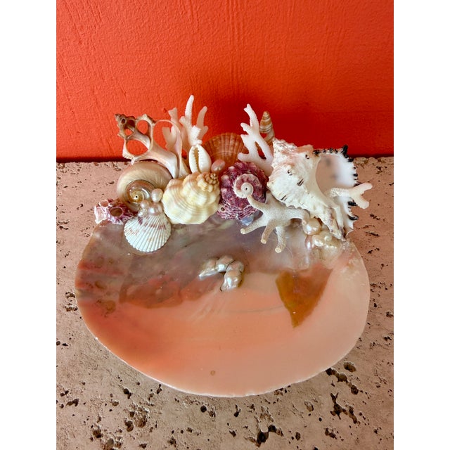 2020s CSS Seashell "What-Not" Oyster Dish For Sale - Image 5 of 6