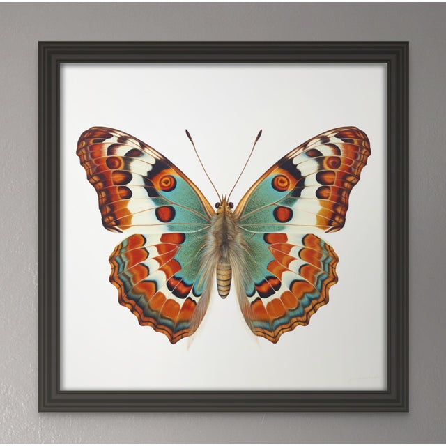 Campaign 18' X 18' 'Butterfly' - Original Botanical Fine Art Print, Unframed For Sale - Image 3 of 4
