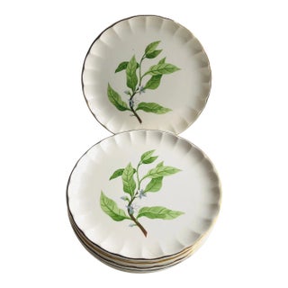 50's Midcentury w.s. George "Bolero" Botanical Salad Plates S/6 For Sale