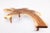 83" Long Free Form One Slab Living Edge Coffee Table 10 For Sale - Image 11 of 12