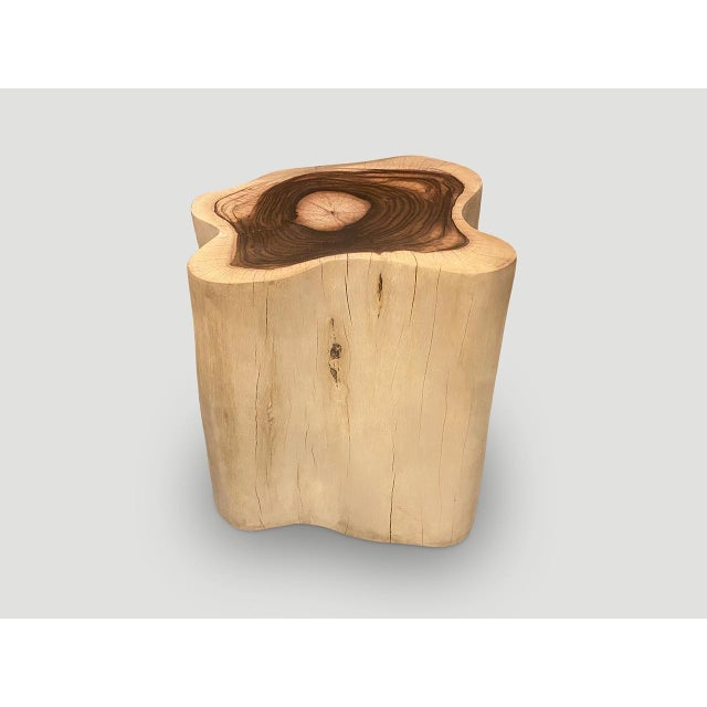 Brown Andrianna Shamaris Rare Sono Wood Oversized Side Table or Pedestal For Sale - Image 8 of 18