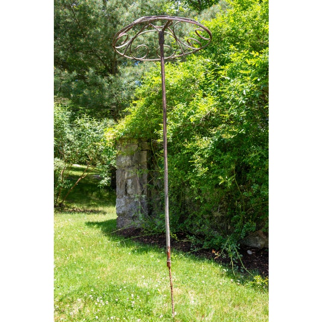 Mid 20th Century Set of Four French garden Rose Trees For Sale - Image 5 of 12