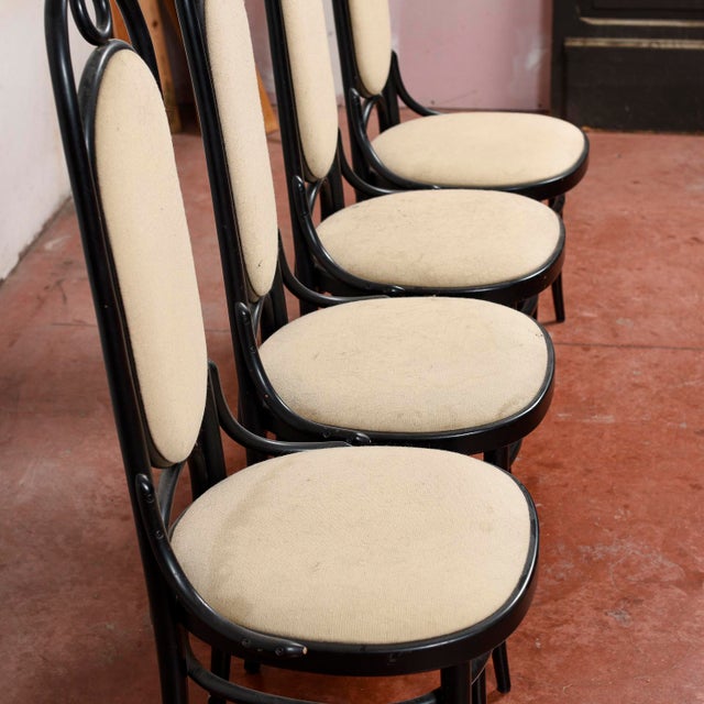 Dining Chairs by Michael Thonet for Thonet, 1986, Set of 4 For Sale - Image 14 of 17