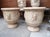 Pair of French Handmade Terracotta Anduze Planters With Satyre Masks For Sale - Image 18 of 18