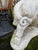 Large Cast Stone Wild Boar Garden Sculpture For Sale - Image 15 of 18