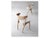 The ageless dining chair designed by helge sibast in 1953 has a unique character and a bold design. As an accomplished...