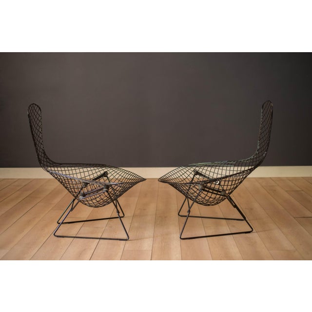 Mid-Century Modern Vintage Pair of Black Bird Lounge Chairs by Harry Bertoia for Knoll Associates For Sale - Image 3 of 13
