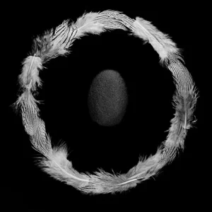 Feather Rock - Black and White III by Trinette + Chris Print, 14" x 14"