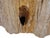 Large Petrified Wood Side Table by Xyleia Petrified Wood For Sale - Image 6 of 7