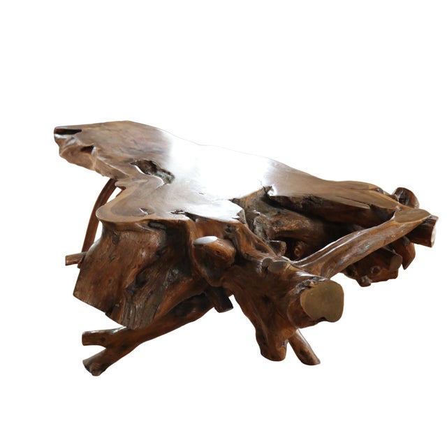 Large Sculptural Rootwood Coffee Table, 1970s For Sale - Image 6 of 16