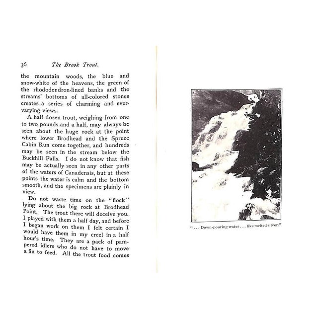 1970s "The Book Trout and the Determined Angler" 1970 Bradford, Charles Barker For Sale - Image 5 of 8