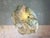 Multi Léonard Pendant Lamp in Bio Material with Natural Dyes by Thibault Philip For Sale - Image 7 of 8