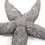 Kenneth Ludwig Chicago Deep Pewter Starfish - small For Sale - Image 4 of 7