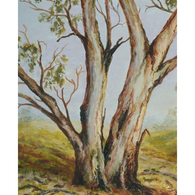 Mid 20th Century "Gawler Gums", Australian Gum Trees Landscape by D. Millowick For Sale - Image 5 of 9