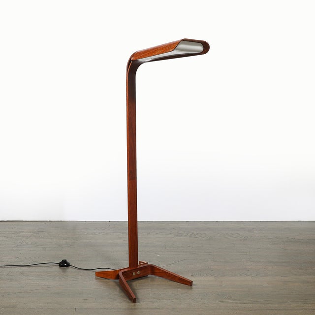 Mid-Century Modernist Teak Bentwood Sculptural Floor Lamp With Diffuser For Sale - Image 9 of 18
