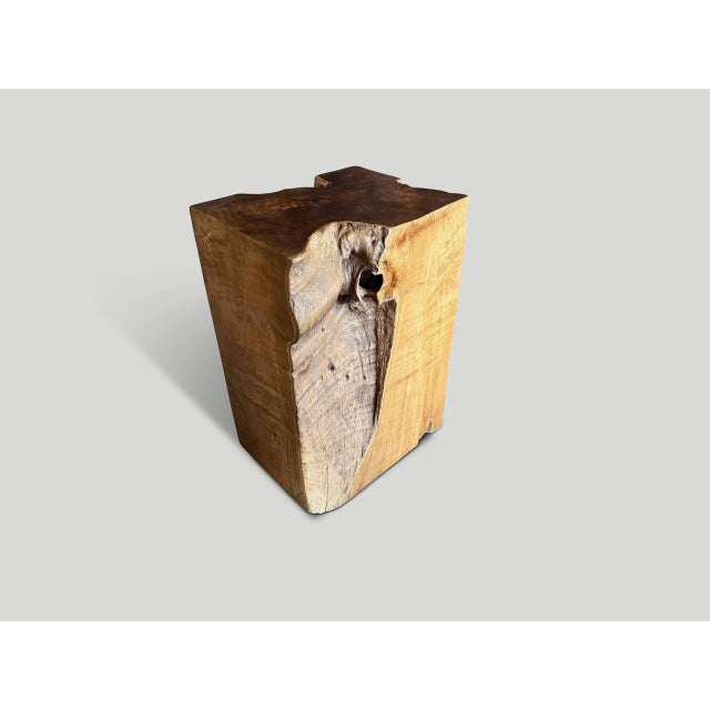 Andrianna Shamaris Sculptural Teak Wood Side Table Or Pedestal For Sale - Image 10 of 18