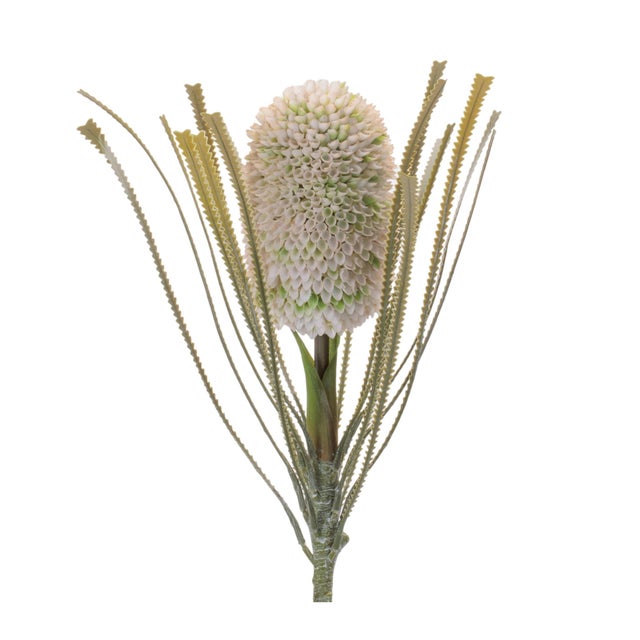Rustic Protea Floral Stem (Set of 2) For Sale - Image 3 of 3