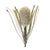 Rustic Protea Floral Stem (Set of 2) For Sale - Image 3 of 3