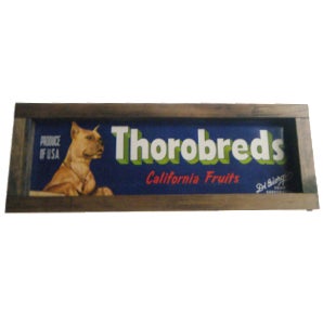 1940s California Fruit Crate Label Sign With Dog Theme For Sale