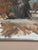 Knut Måsö, Red Autumn, 1950s, Oil Painting on Canvas, Framed For Sale - Image 8 of 18