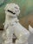 Vintage Blanc De Chine Chinese Ceramic Foo Dogs a Pair For Sale In Seattle - Image 6 of 8